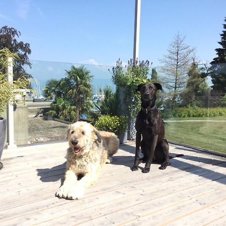 Lakelodge Romanshorn Exteriör bild