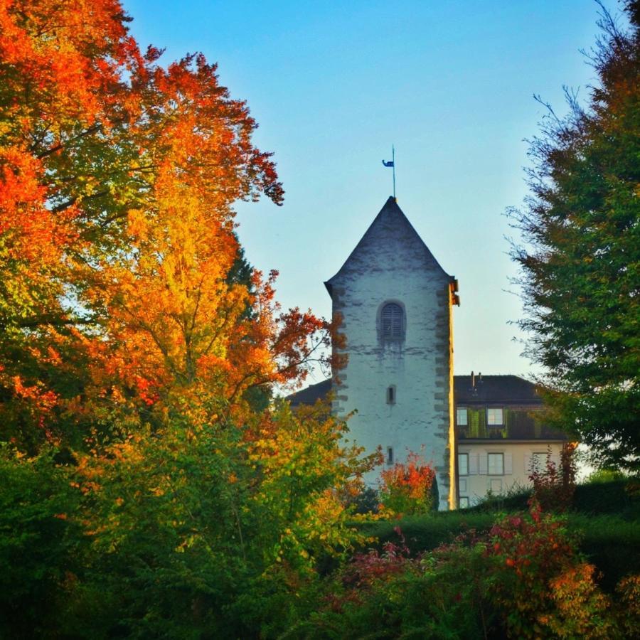Lakelodge Romanshorn Exteriör bild