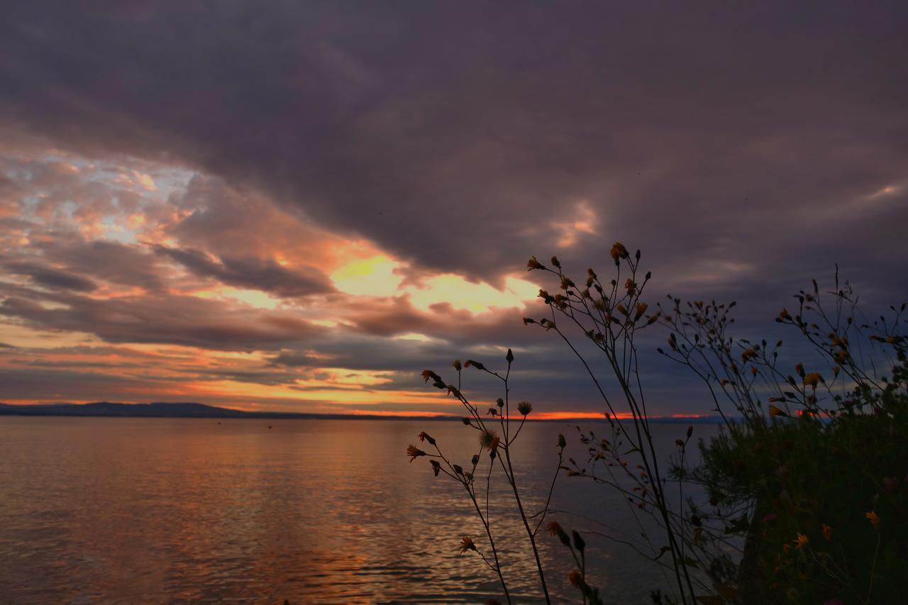 Lakelodge Romanshorn Exteriör bild